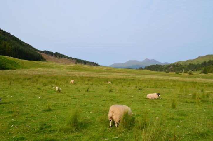 Landschaft khe.JPG